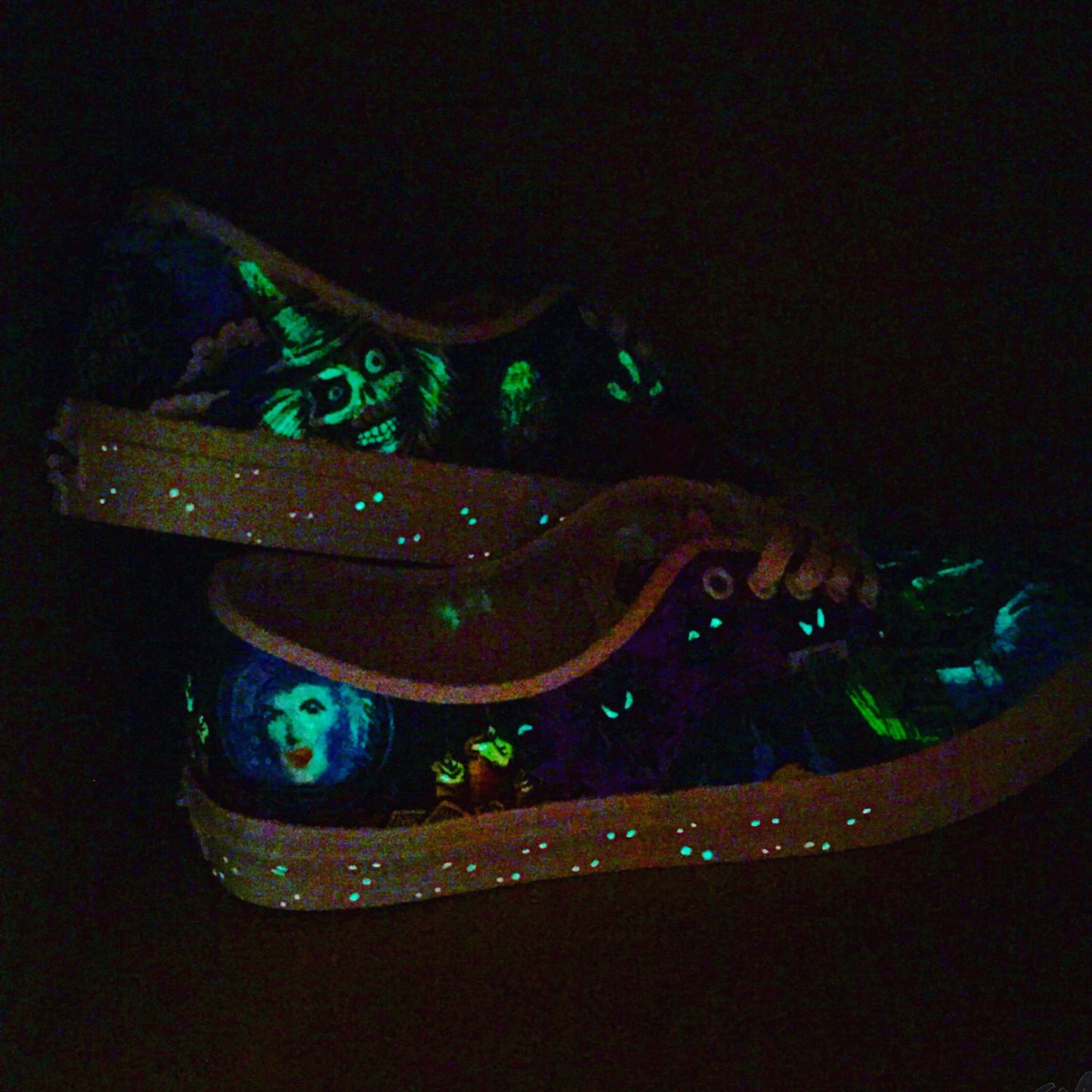 Disney's Haunted Mansion theme hand painted Vans shoes