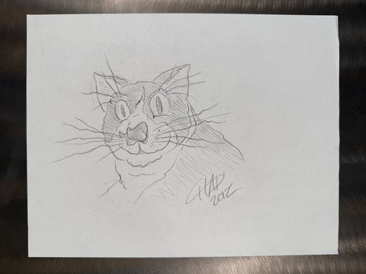 The White Paper Files - Original Art - 355