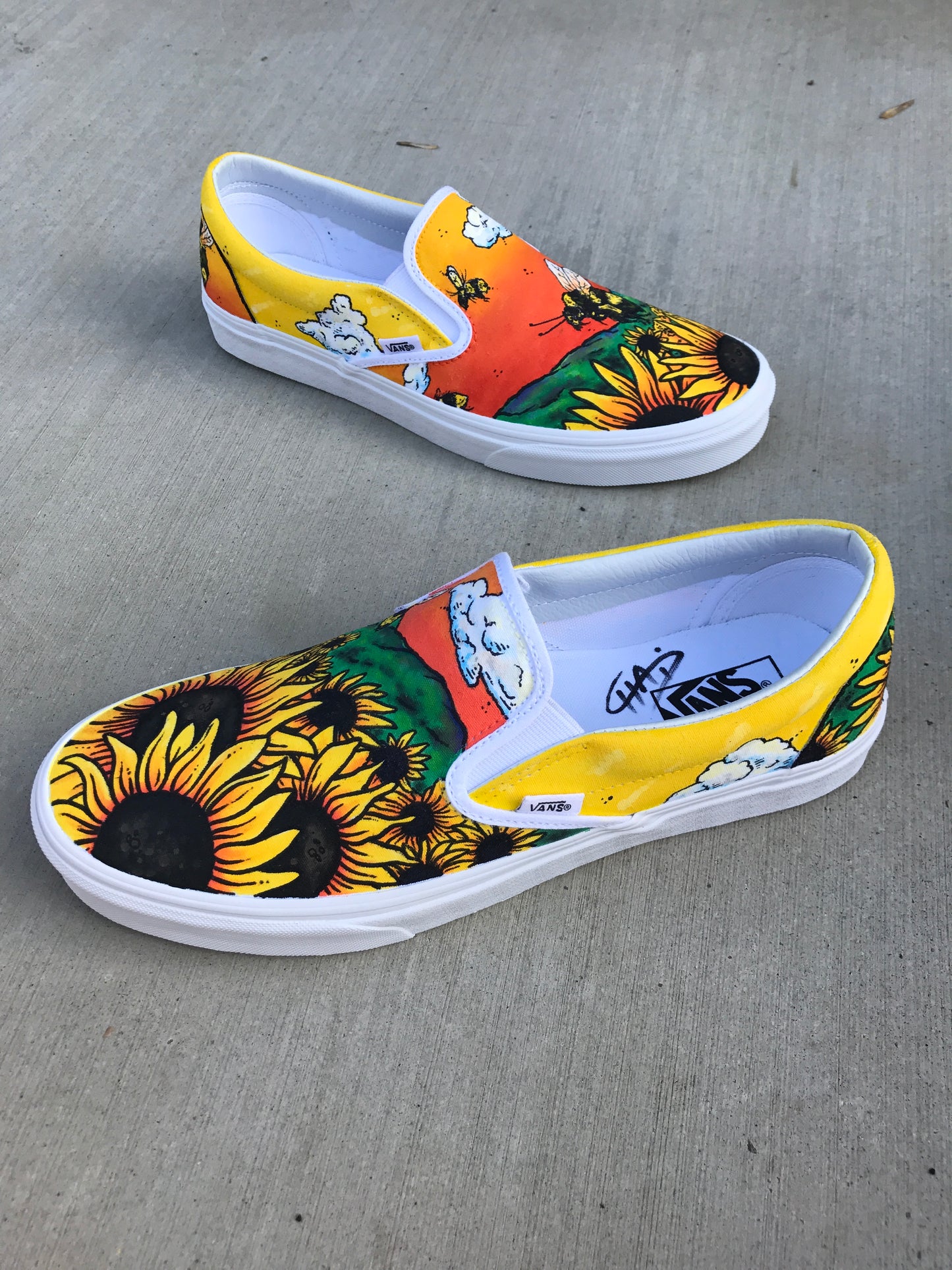 Flower Boy Album Vans shoes