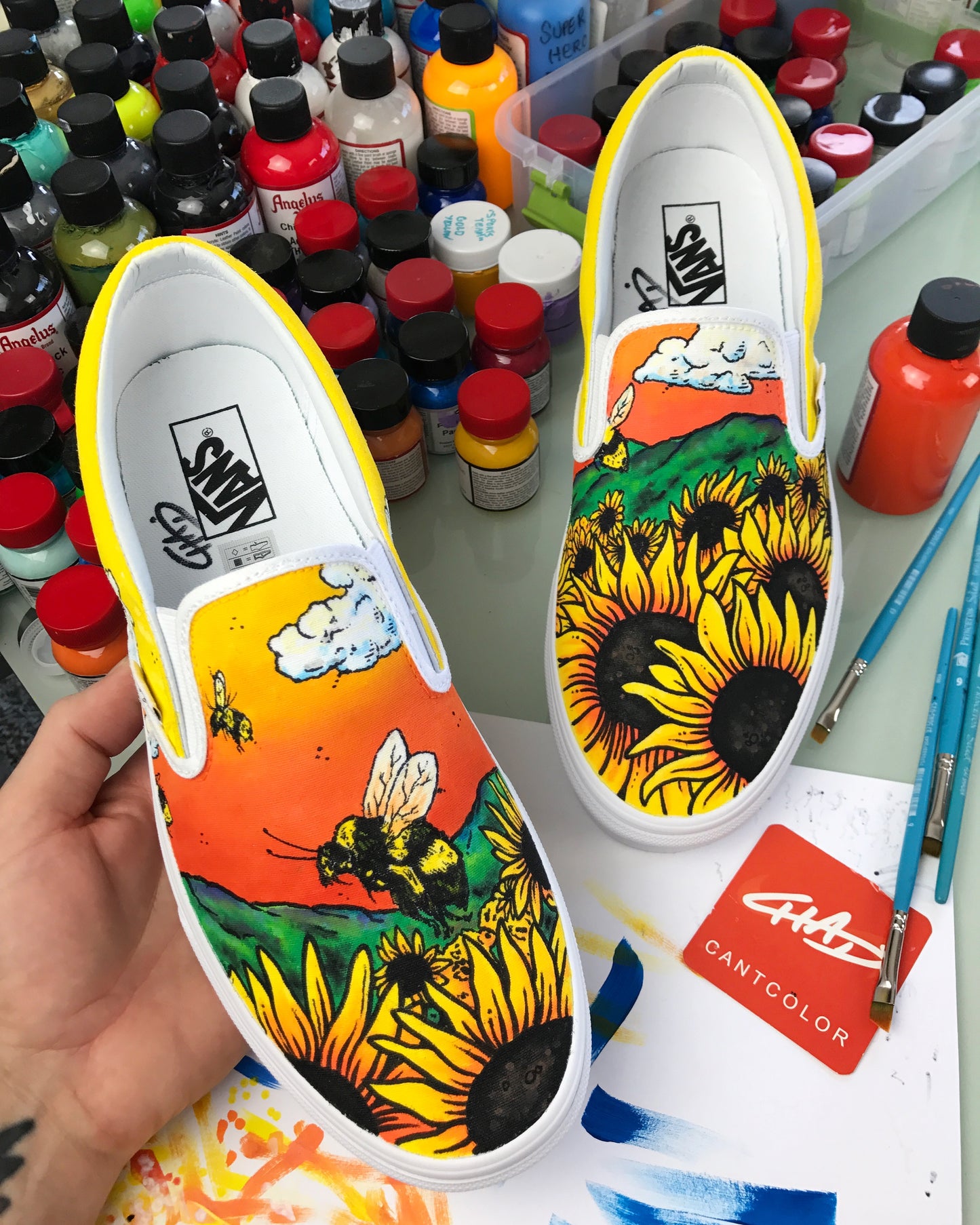 Flower Boy Album Vans shoes
